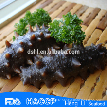 Top quality frozen and dried sea cucumber for sale